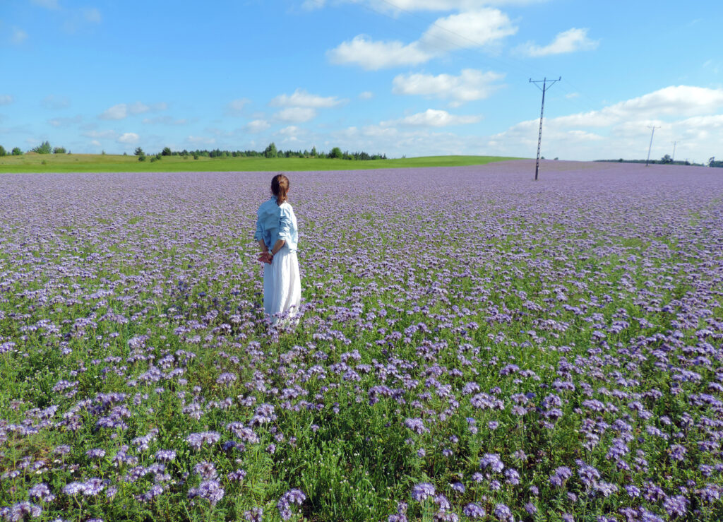 Woman standing in lavender field