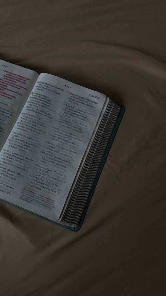 Bible Pages