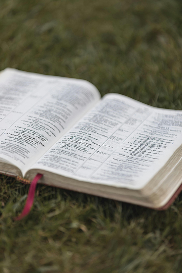 Open Bible