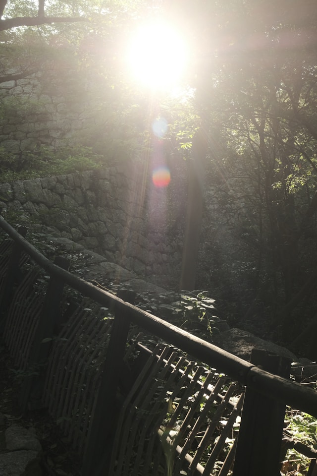 Sun on Bridge