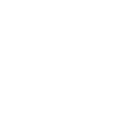 PayPal Icon of PayPal logo