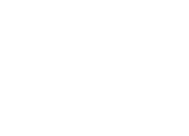 Bridge Builder icon of bridge